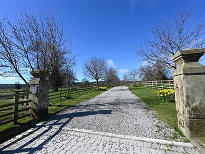 Picture 22